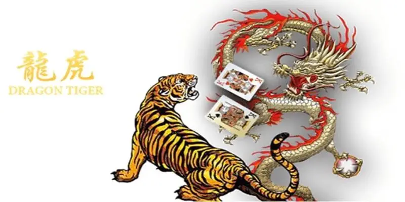 Có nhiều hình thức đặt cược trong cách chơi Rồng Hồ